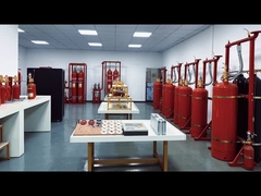 Video hàng ngày của công ty